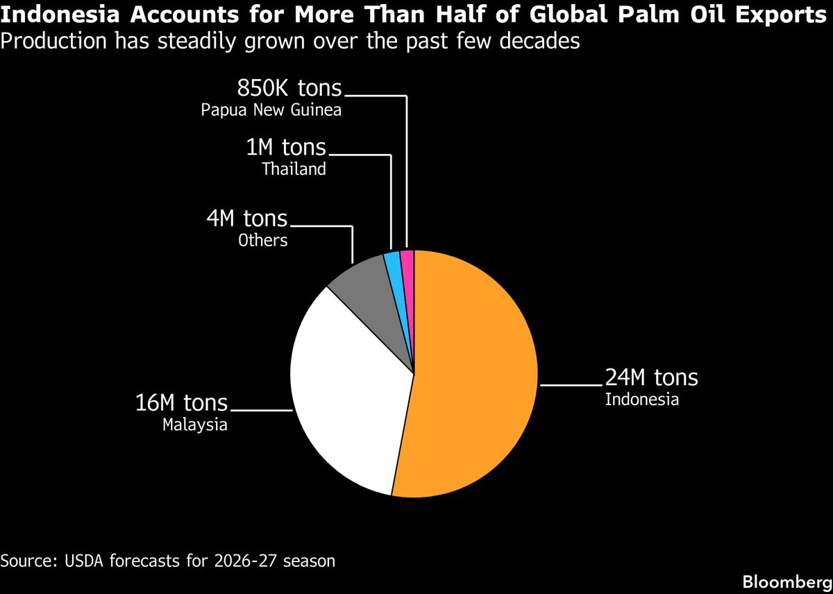 Indonesia’s Radical Export Plan Takes Effect as Doubts Swirl