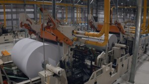 SUZB3: o que o mercado deve olhar após a Suzano concluir compra bilionária da Arbex
